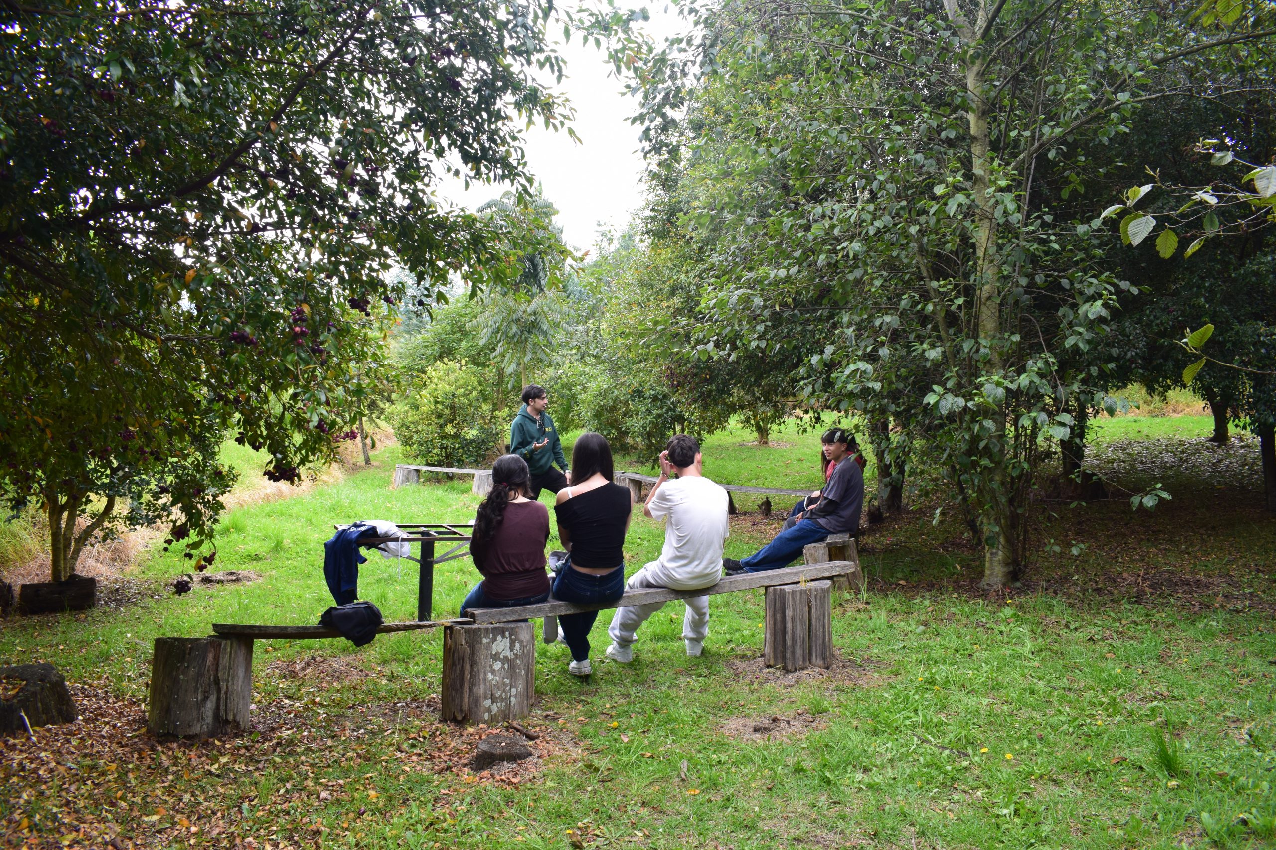 Ambiente Campestre